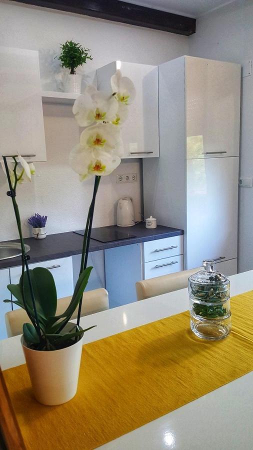 סלוניי Guest House Iva מראה חיצוני תמונה